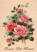 Roses anciennes pour c&eacute;l&eacute;brer Mamie
